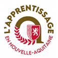 L'apprentissage en Nouvelle Aquitaine